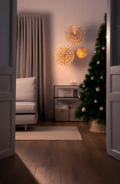 Adventsstjerne i papp blomst 25 cm, Northlight
