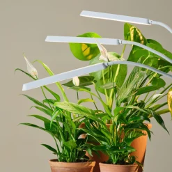3-armet LED-vekstlys med klemme