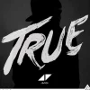 Avicii True vinylplate