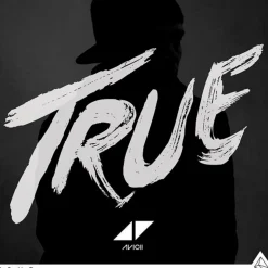 Avicii True vinylplate