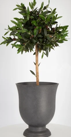 Blomsterkrukke, urne, Ø 35 cm