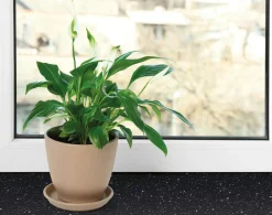 D-C-Fix dekorplast marmor / stein