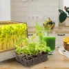Dyrkingsbrett for mikrogreens, lite drivhus LED, 8 W