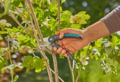 Gardena PremiumCut hagesaks med sideskjær
