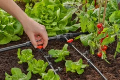 Gardena reguleringsventil på 4,6 mm, 3/16 tomme, 2-pakning