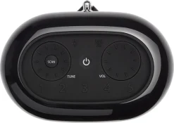 JBL Tuner XL Bluetooth-høyttaler og DAB-radio