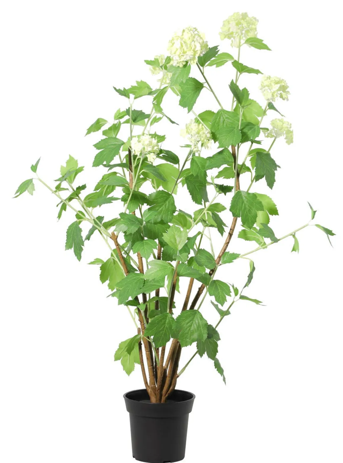 Kunstig hagehortensia, hvit, 98 cm