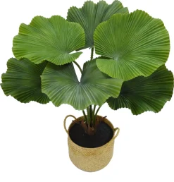 Kunstig plante i potte Licuala 70 cm