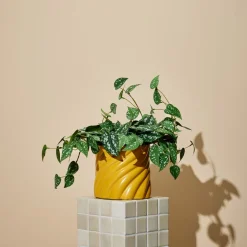 Kunstig plante i potte sølvranke, 32 cm