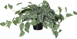 Kunstig plante i potte sølvranke, 32 cm