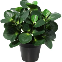 Kunstig plante i potte, peperomia, 35 cm
