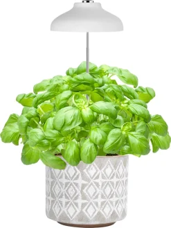 LED-plantelys på spyd til potter, med USB og teleskopfunksjon, hvitt