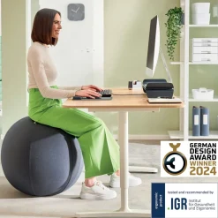Leitz Ergo Cosy ergonomisk sitteball til kontor, 65 cm