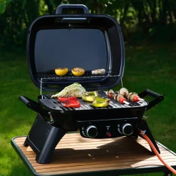 Liten, portabel gassgrill, 2 brennere og termometer