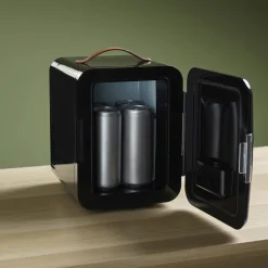 Minikjøleskap svart 4 liter 12 V / 230 V, bærbart