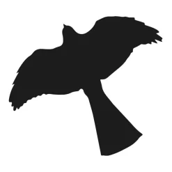 MotFågel, klistremerke, rovfuglsilhuett