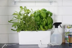 Nelson Garden plantelys LED-list innendørs, 39 cm