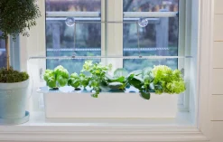 Nelson Garden plantelys LED-list innendørs, 85 cm