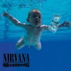 Nirvana Nevermind vinylplate