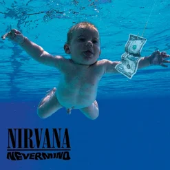 Nirvana Nevermind vinylplate