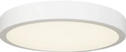 Northlight Dot dimbar plafond 30 cm, tak- / vegglampe
