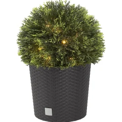 Northlight Thuja-ball 33 cm