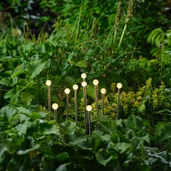 Northlight solcellebelysning for bed 10 kuler med jordspyd