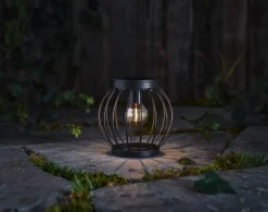Northlight solcellelykt kurvlykt rund, 15,5 cm