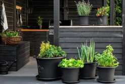 Orthex Botanica potte utendørs, plast, svart