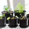 Orthex Botanica potte utendørs, plast, svart