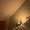 Osram Vintage 1906 Globe Smoke LED-pære E27 dimbar