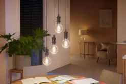 Philips Hue WA E27 LED globepære 7 W Bluetooth