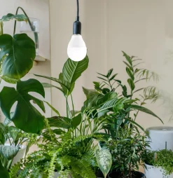 Plantebelysning LED E14, innendørs dyrkingslampe, 8 W