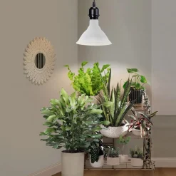 Plantelys LED E27 PAR38, innendørs vekstlys, 15W