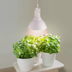 Plantelys LED E27 PAR38, innendørs vekstlys, 15W