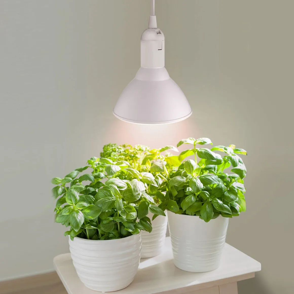 Plantelys LED E27 PAR38, innendørs vekstlys, 15W