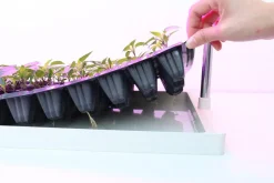 Plantelys LED med justerbart stativ og dyrkebrett