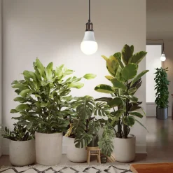 Plantelys LED E27, innendørs vekstlys, 9 W