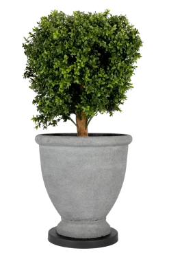 Plantevogn svart, 29 cm
