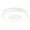 Plejd smart taklampe med bevegelsessensor, 29,4 cm