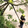 Ryobi OPP1820 grensag med teleskophåndtak