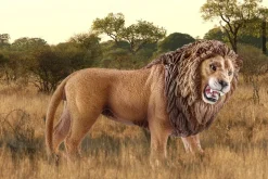 Schleich Wild Life løve, fra 3 år