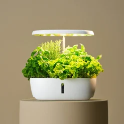 Sett for hydroponisk dyrking, 12 dyrkingsplugger og plantelys LED
