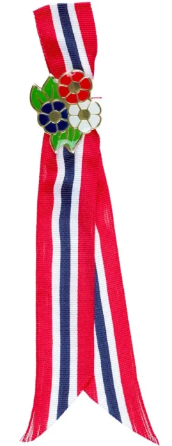 Sløyfe med pins