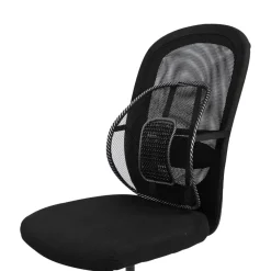 Swedish Posture Back Rest, ryggstøtte